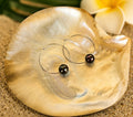 Boucles d'oreilles TAKAROA créoles en argent 925 avec authentiques perles de Tahiti multicolores de 8,15 mm
