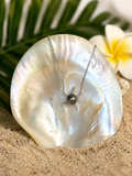 Collier KAUKURA étoile de mer en argent 925 avec perle de Tahiti multicolore et zirconiums